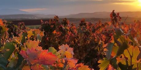 5 destinos únicos para viajar en autocaravana en España 5 destinos únicos para viajar en autocaravana en España