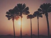 Venerdí Photosatriani