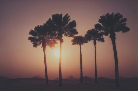 Il Venerdí di Photosatriani N. 471