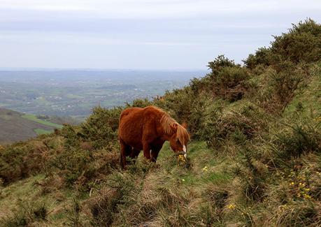 36 Horas en el País Vasco Francés 36 Horas en el País Vasco Francés