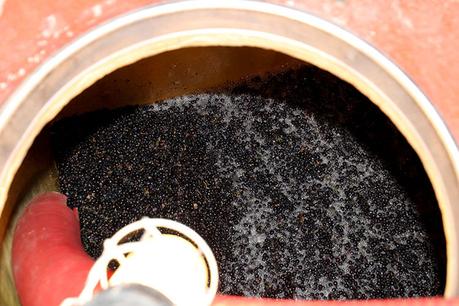 Qué esperar durante la vendimia en Burdeos Mirando hacia una tina desde arriba para ver las uvas que acaban de ser transportadas a la tina.