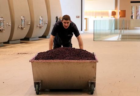 Un trabajador empuja un bote de orujo recién sacado de las tinas del Château Cheval Blanc en Saint-Emilion