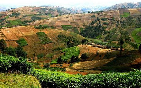 15 mejores lugares para visitar en Burundi Reserva natural de Vyanda