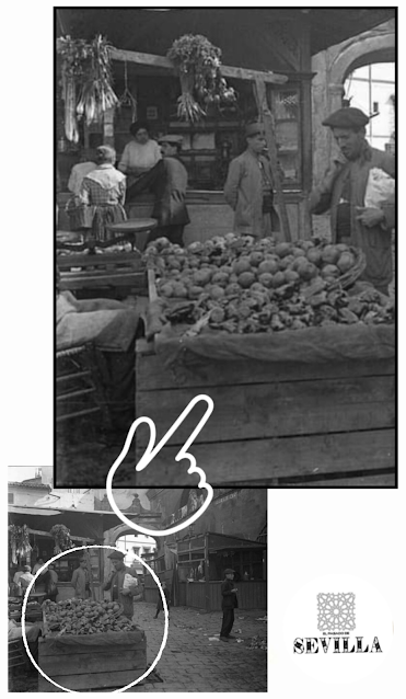 El último bastión del Arenal El último bastión del Arenal