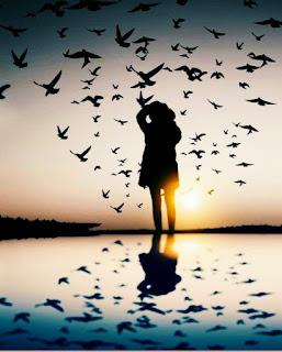 5.843 - VOLEMOS... 5.843 - VOLEMOS...