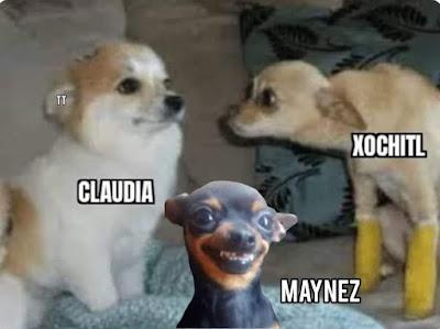 De políticos, digo, política