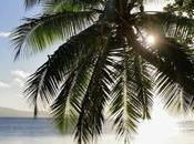 velero Islas Mamanuca Fiji