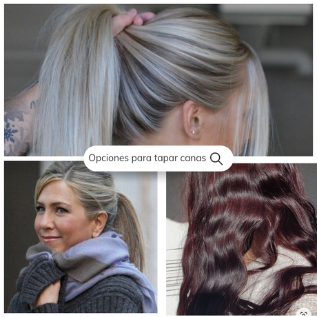 Canas amarillas blancas grises como cubrirlas tintura opciones para disimular las