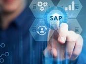 Rise with papel transformador negocios digital