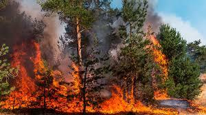 Este año podría haber más incendios forestales que en 2023
