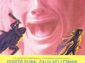 Reflejo miedo, (USA, 1972)