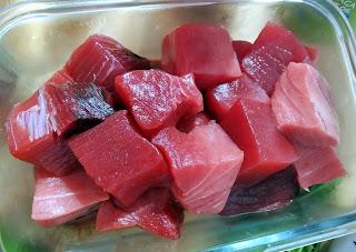 TACOS DE ATÚN ROJO A LA ROTEÑA CON COMINO.