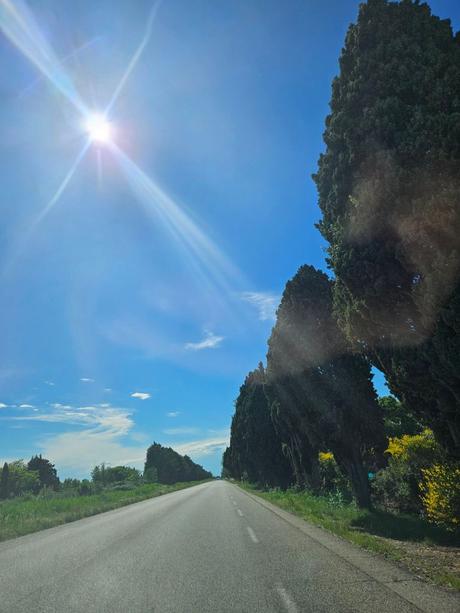 Vlog /Contanto cosas de vacaciones en Rumanía: