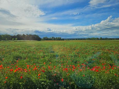 Vlog /Contanto cosas de vacaciones en Rumanía:
