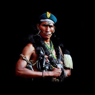 Panda Experimental II