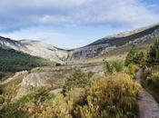 Descubre encantadores caminos naturales Madrid