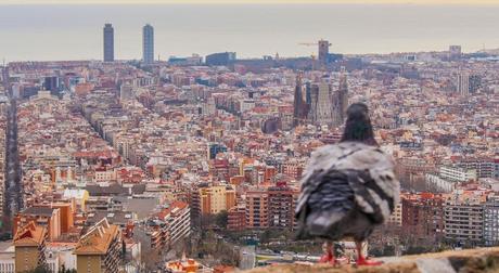 Diversión en Barcelona: Un fin de semana de fiesta, deporte y cultura
