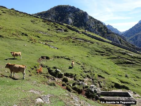 Tielve-Valfríu-Tordín-Altu el Valle-Entrejanu-Tobaos
