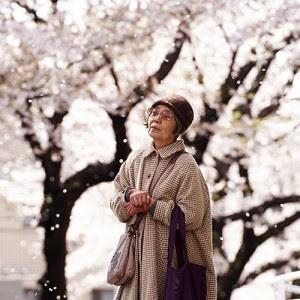 Dorayaki - Una pastelería en Tokio Dorayaki - Una pastelería en Tokio