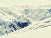 Fleesh Versions (2023)