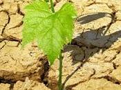 fallo pionero Tribunal Estrasburgo concluye inacción climática viola derechos humanos