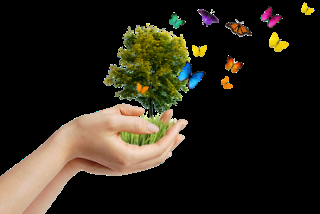 El tercer sector, a la cabeza en paridad femenina en los órganos directivos