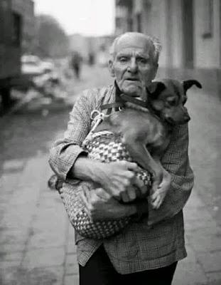 Mi perro “Fido”.