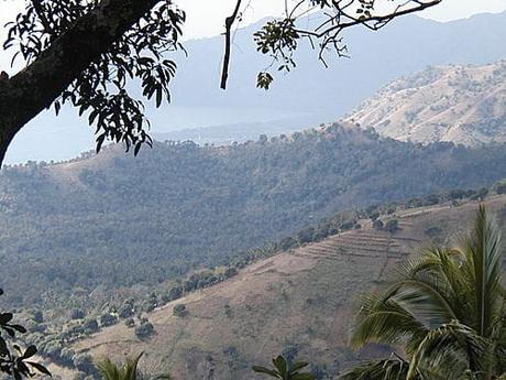 10 mejores lugares para pasarse en Comoras Ntingui