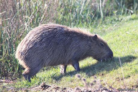 Gran Día Mundial (11 de mayo de 2024)
