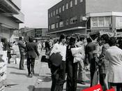 Pantomime horses: 'forever polyester'