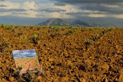 Nuevo libro. “Los Barros y la Sierra