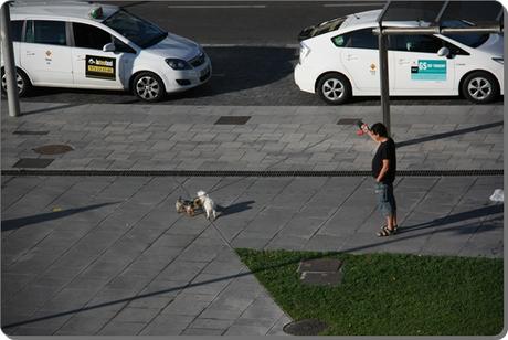 Edén en Lleida (II) Edén en Lleida (II)