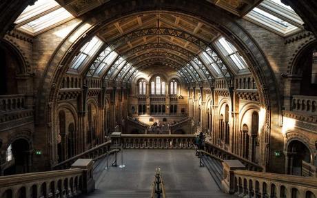 Museo Le Louvre: Entradas, Precio y Visitas Guiadas