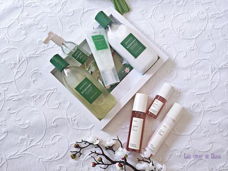 Cosmética Asiática Sioris & Aromatica kbeauty Corea omija cica rosemary haircare skincare beauty belleza stylevana