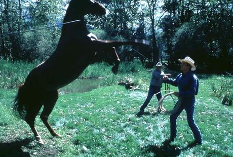 Hombre que susurraba a los caballos, el (USA, 1998) Hombre que susurraba a los caballos, el (USA, 1998)
