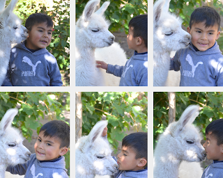 Catamarca Road Trip: 10 días de paisajes sorprendentes Catamarca Road Trip: 10 días de paisajes sorprendentes