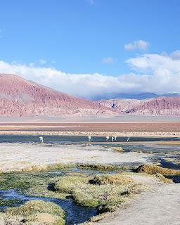 Catamarca Road Trip: 10 días de paisajes sorprendentes Catamarca Road Trip: 10 días de paisajes sorprendentes