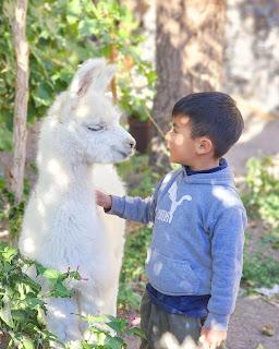 Catamarca Road Trip: 10 días de paisajes sorprendentes Catamarca Road Trip: 10 días de paisajes sorprendentes