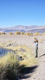 Catamarca Road Trip: 10 días de paisajes sorprendentes