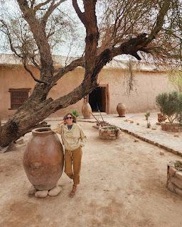 Catamarca Road Trip: 10 días de paisajes sorprendentes Catamarca Road Trip: 10 días de paisajes sorprendentes