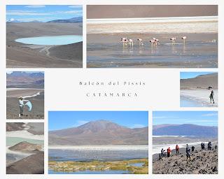 Catamarca Road Trip: 10 días de paisajes sorprendentes Catamarca Road Trip: 10 días de paisajes sorprendentes