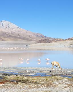 Catamarca Road Trip: 10 días de paisajes sorprendentes Catamarca Road Trip: 10 días de paisajes sorprendentes