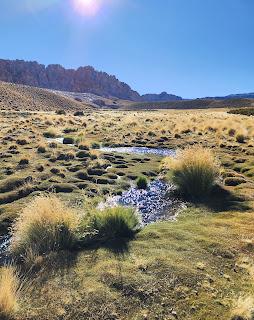 Catamarca Road Trip: 10 días de paisajes sorprendentes Catamarca Road Trip: 10 días de paisajes sorprendentes