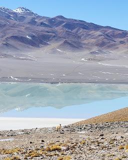 Catamarca Road Trip: 10 días de paisajes sorprendentes Catamarca Road Trip: 10 días de paisajes sorprendentes