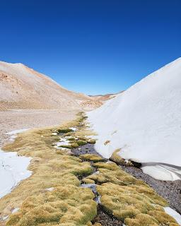 Catamarca Road Trip: 10 días de paisajes sorprendentes