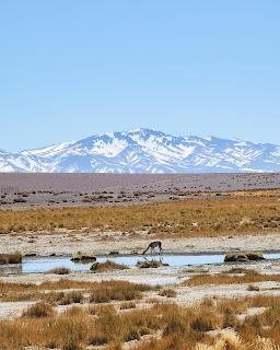 Catamarca Road Trip: 10 días de paisajes sorprendentes Catamarca Road Trip: 10 días de paisajes sorprendentes