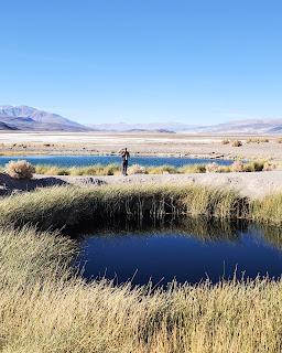 Catamarca Road Trip: 10 días de paisajes sorprendentes Catamarca Road Trip: 10 días de paisajes sorprendentes