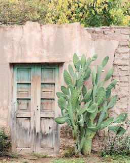 Catamarca Road Trip: 10 días de paisajes sorprendentes Catamarca Road Trip: 10 días de paisajes sorprendentes