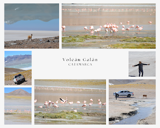 Catamarca Road Trip: 10 días de paisajes sorprendentes Catamarca Road Trip: 10 días de paisajes sorprendentes