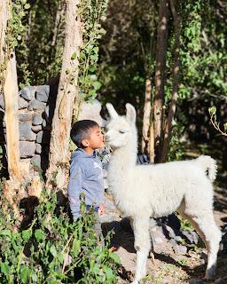 Catamarca Road Trip: 10 días de paisajes sorprendentes Catamarca Road Trip: 10 días de paisajes sorprendentes